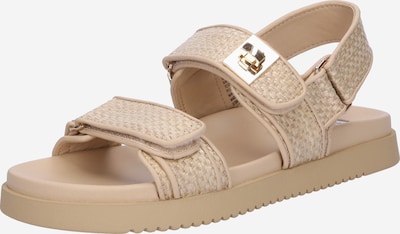 STEVE MADDEN Sandales 'MONA' en miel / jaune pastel, Vue avec produit