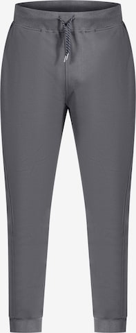 Smilodox Pants 'Jones' in Grey: front