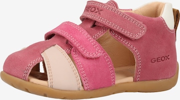 GEOX Sandalen in Roze: voorkant