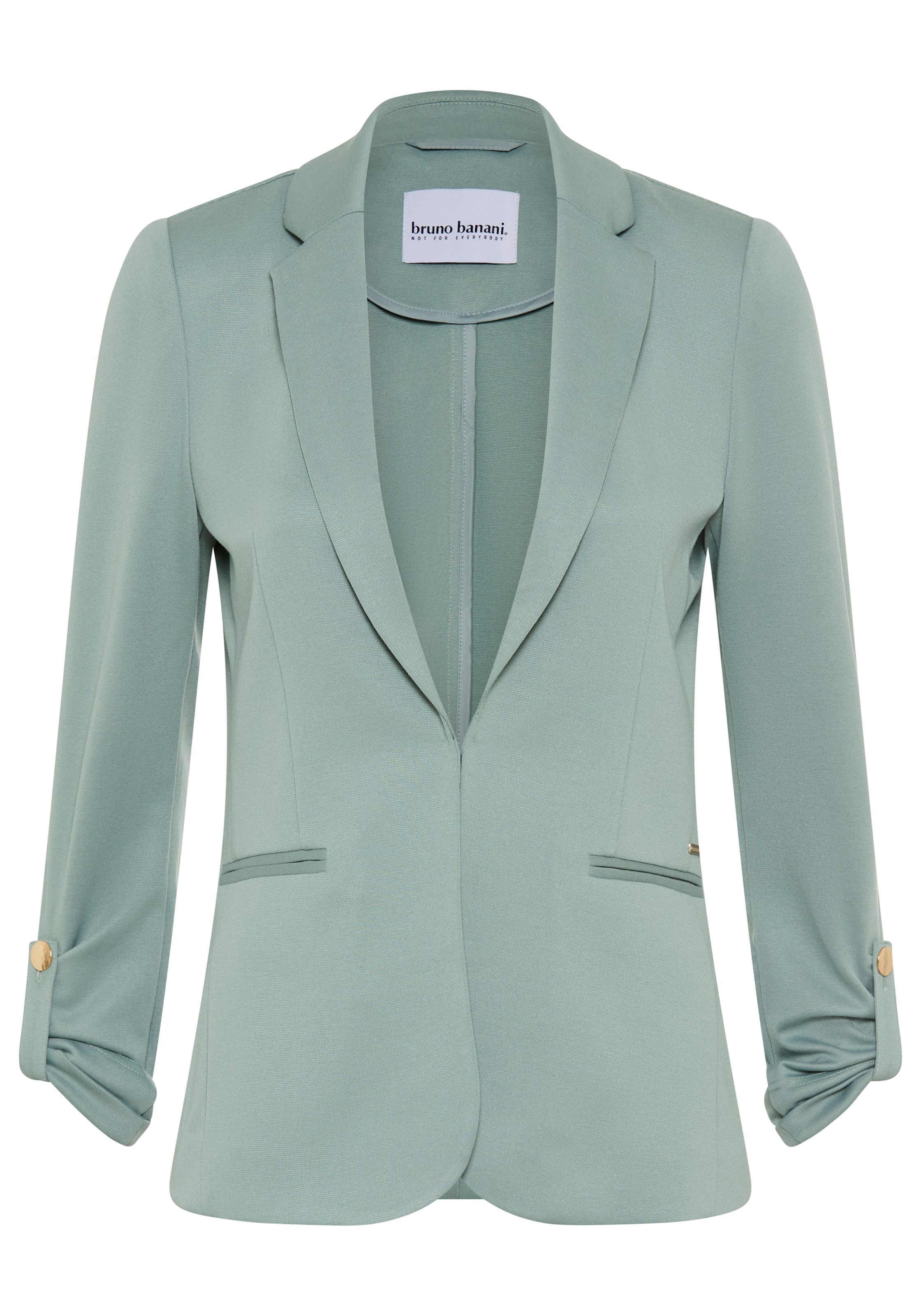 Bruno Banani LM Blazer in Grün: Vorderseite