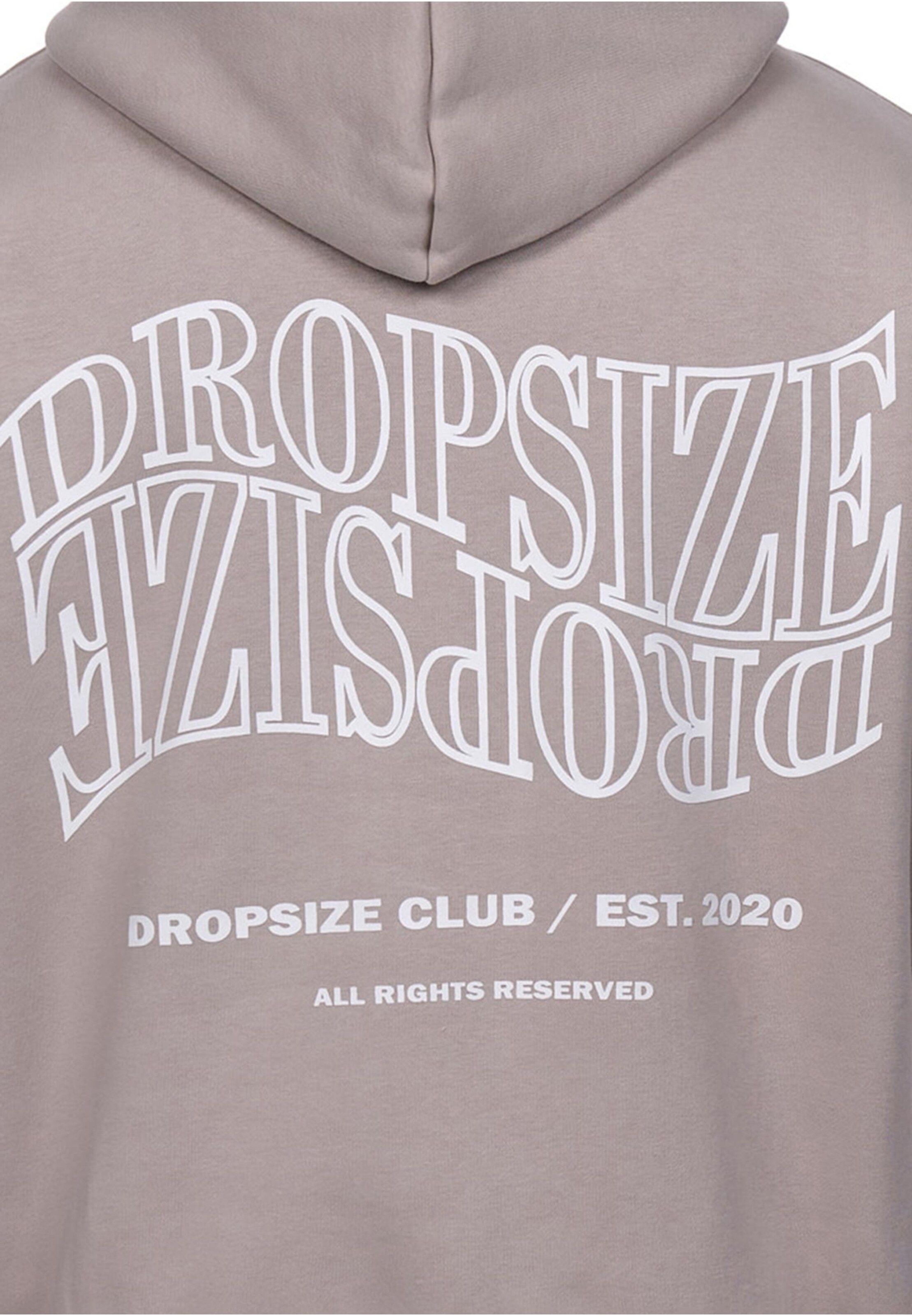 Dropsize Sweatshirt in Beige