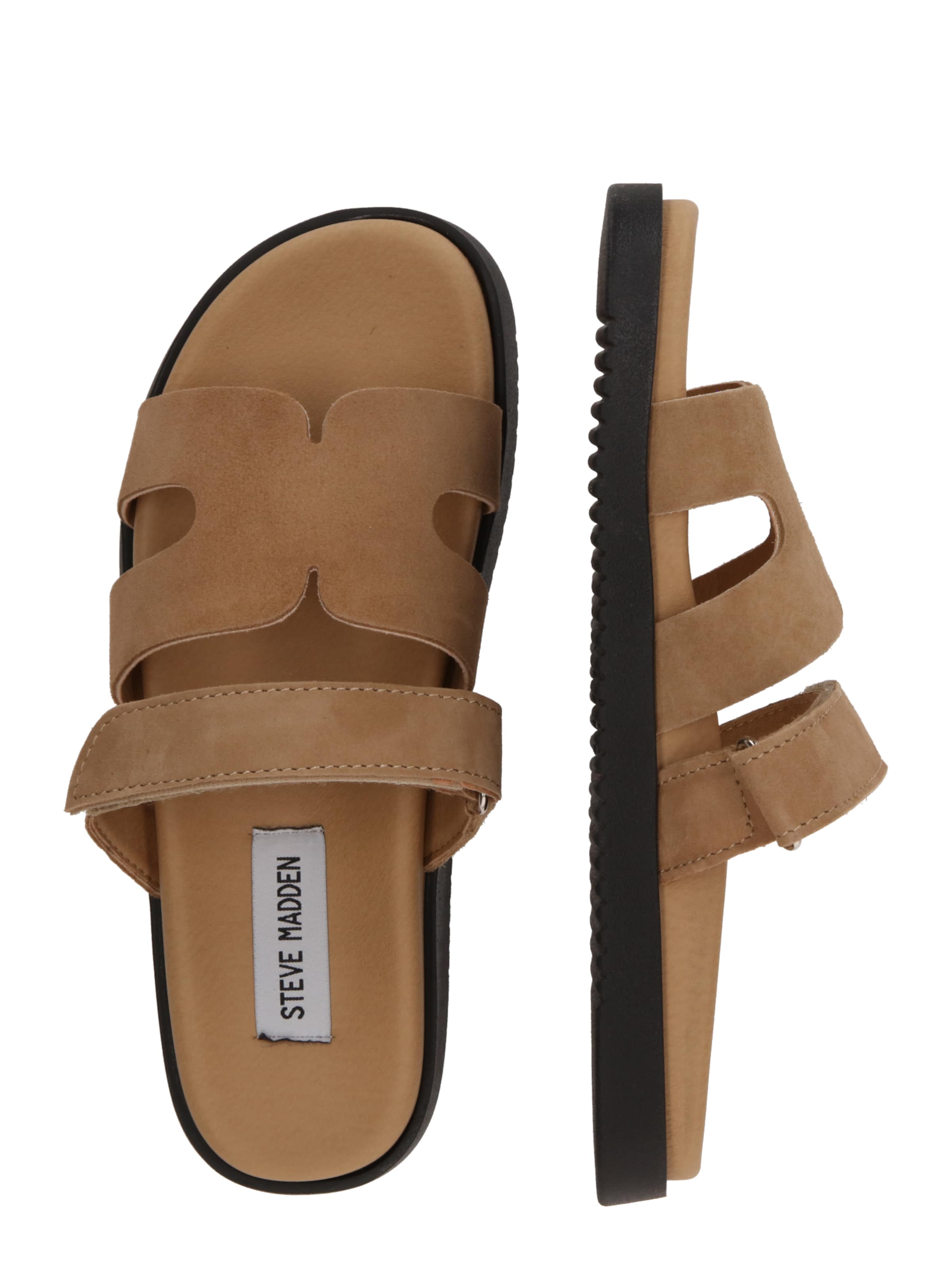 STEVE MADDEN Muiltjes 'Missile-E' in Bruin