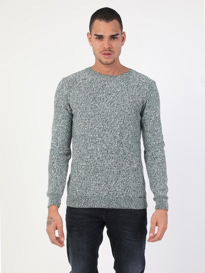 Colin's Sweater in Green / White, Item view