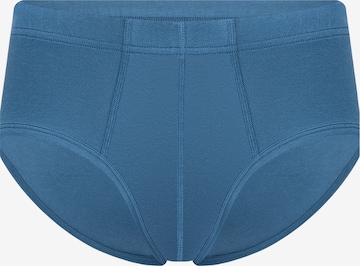 Albero Natur Panty in Blue: front