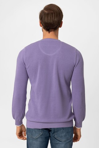 DENIM CULTURE Sweater 'Romario' in Purple