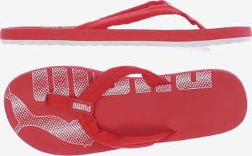 PUMA Sandals & High-Heeled Sandals in 41,5 in Red: front