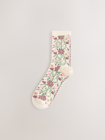 Next Socks in Mixed colours