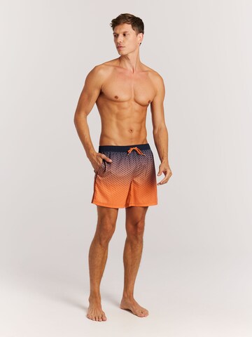 PROTEST Board Shorts 'PRTNorthaw' in Purple