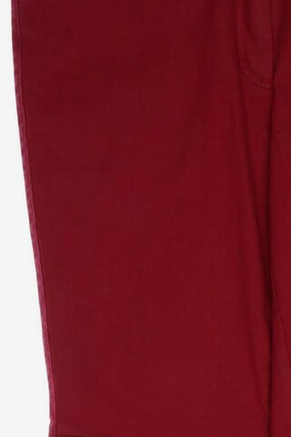 SAMOON Jeans in 36 in Red