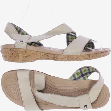 Crocs Sandals & High-Heeled Sandals in 41,5 in White: front