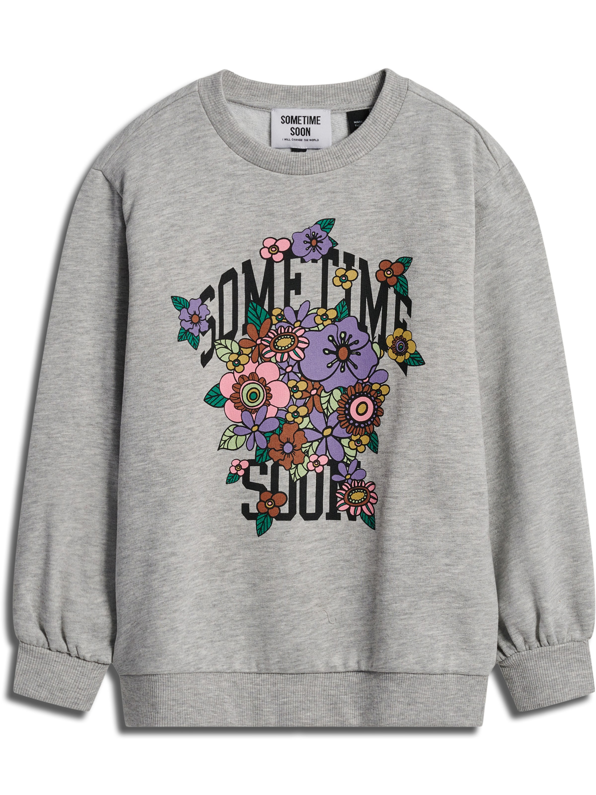 SOMETIME SOON Sweatshirt i grå: forside