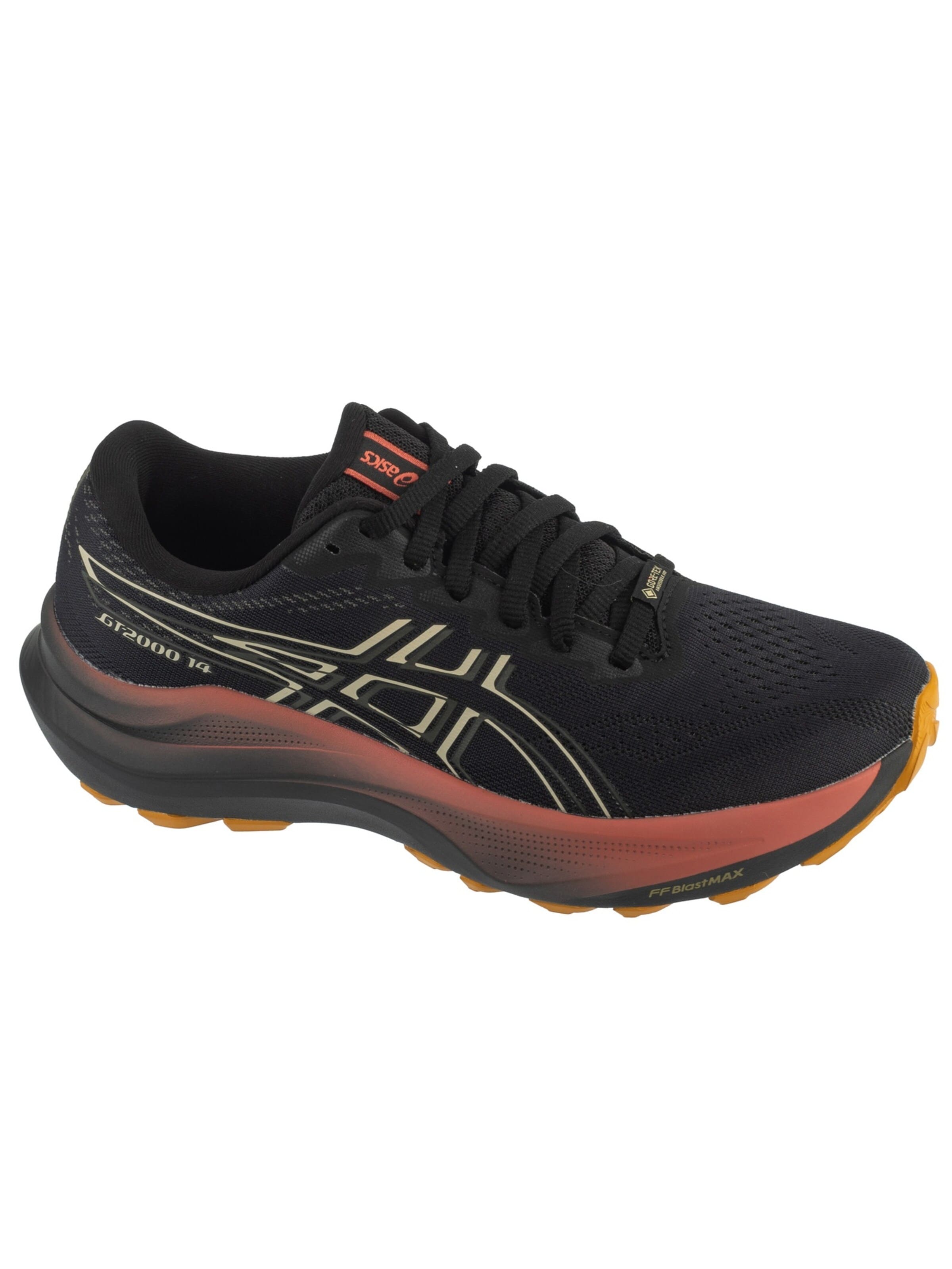 ASICS Laufschuh 'GT-2000 14 GTX'‌‌‌‌‌‌ in Schwarz
