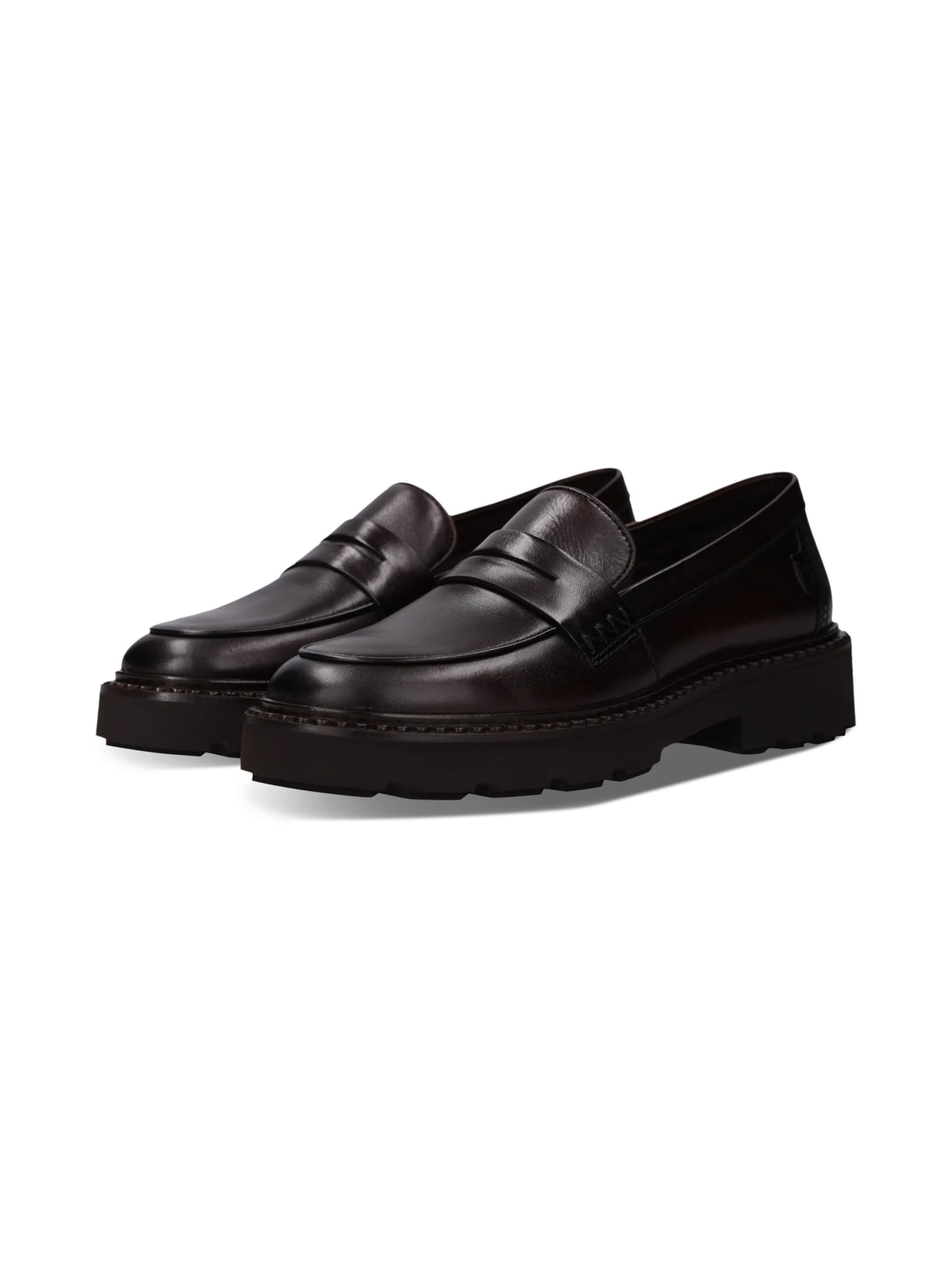 Chaussure basse SALAMANDER en marron