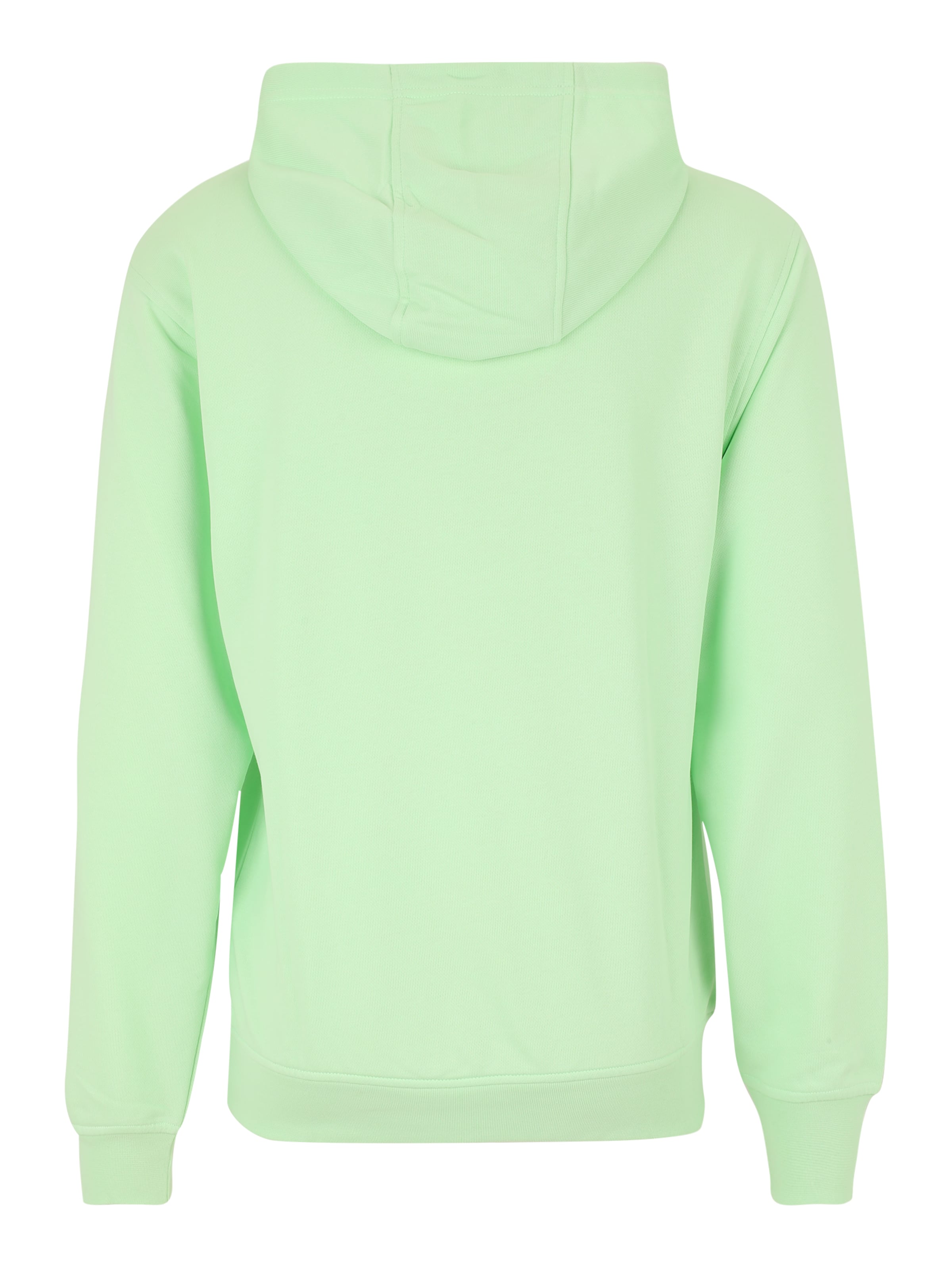 zaļš Jordan Sportisks džemperis: no aizmugures