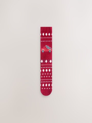 Next Socken in Mischfarben