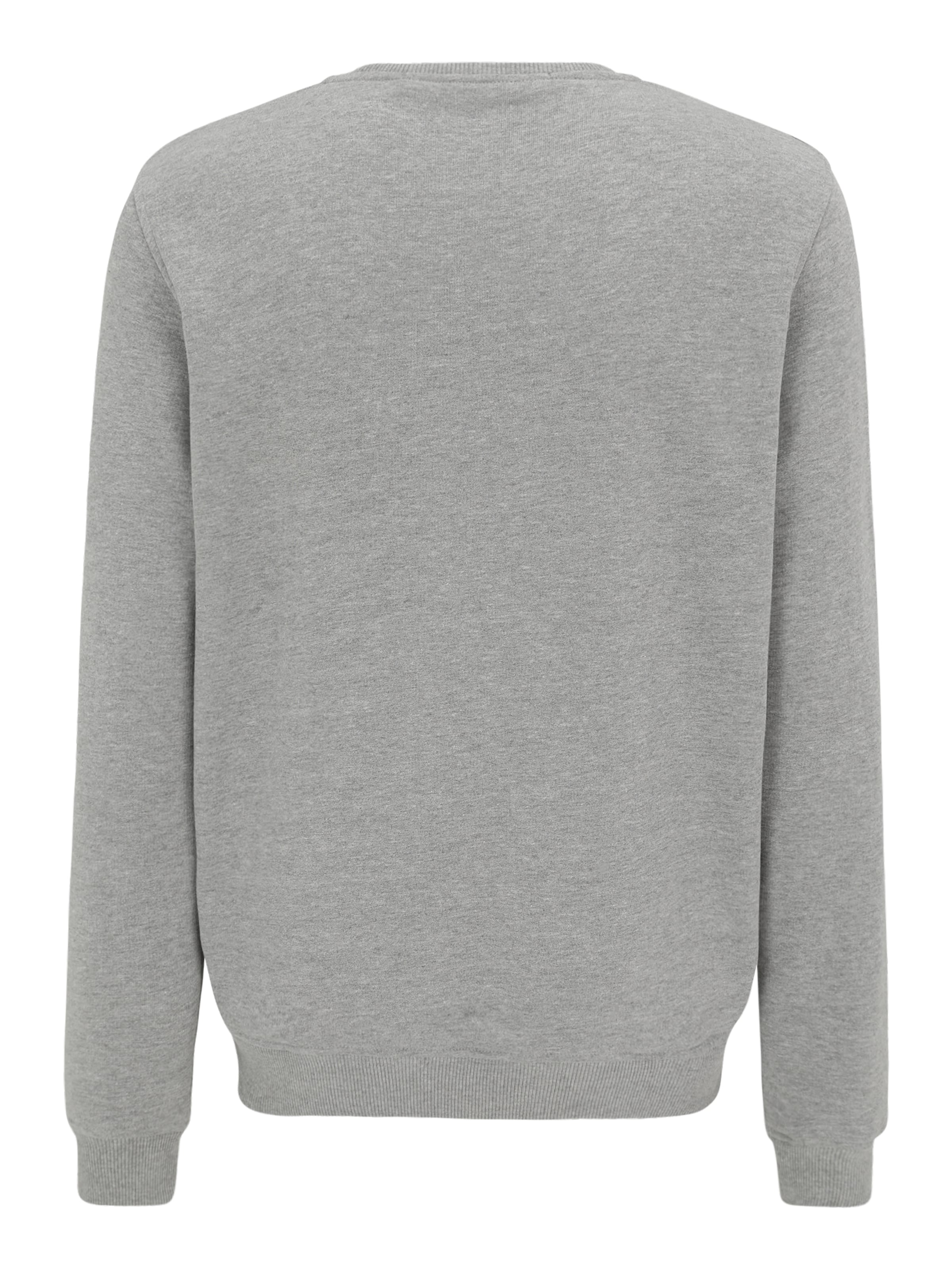 Karl Lagerfeld Sweatshirt in Grey: back