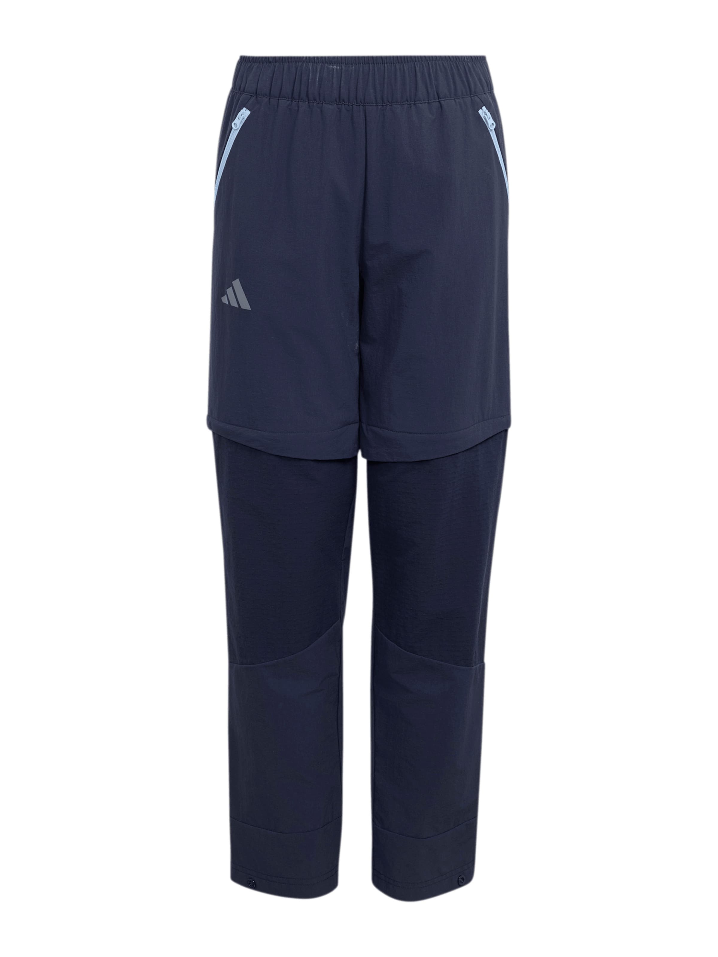 ADIDAS TERREX Обычный Спортивные штаны в Синий: спереди