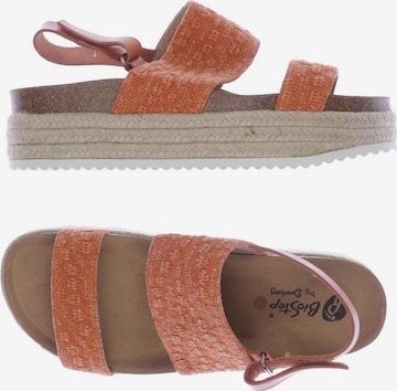 Deerberg Sandals & High-Heeled Sandals in 41 in Orange: front