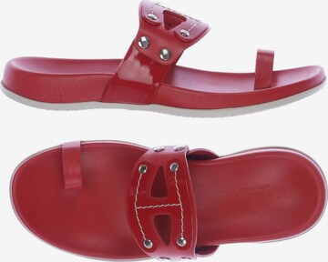 HOGAN Sandalen 36 in Rot: predná strana