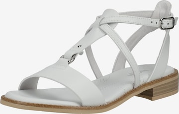 Sandales à lanières Nero Giardini en blanc : devant