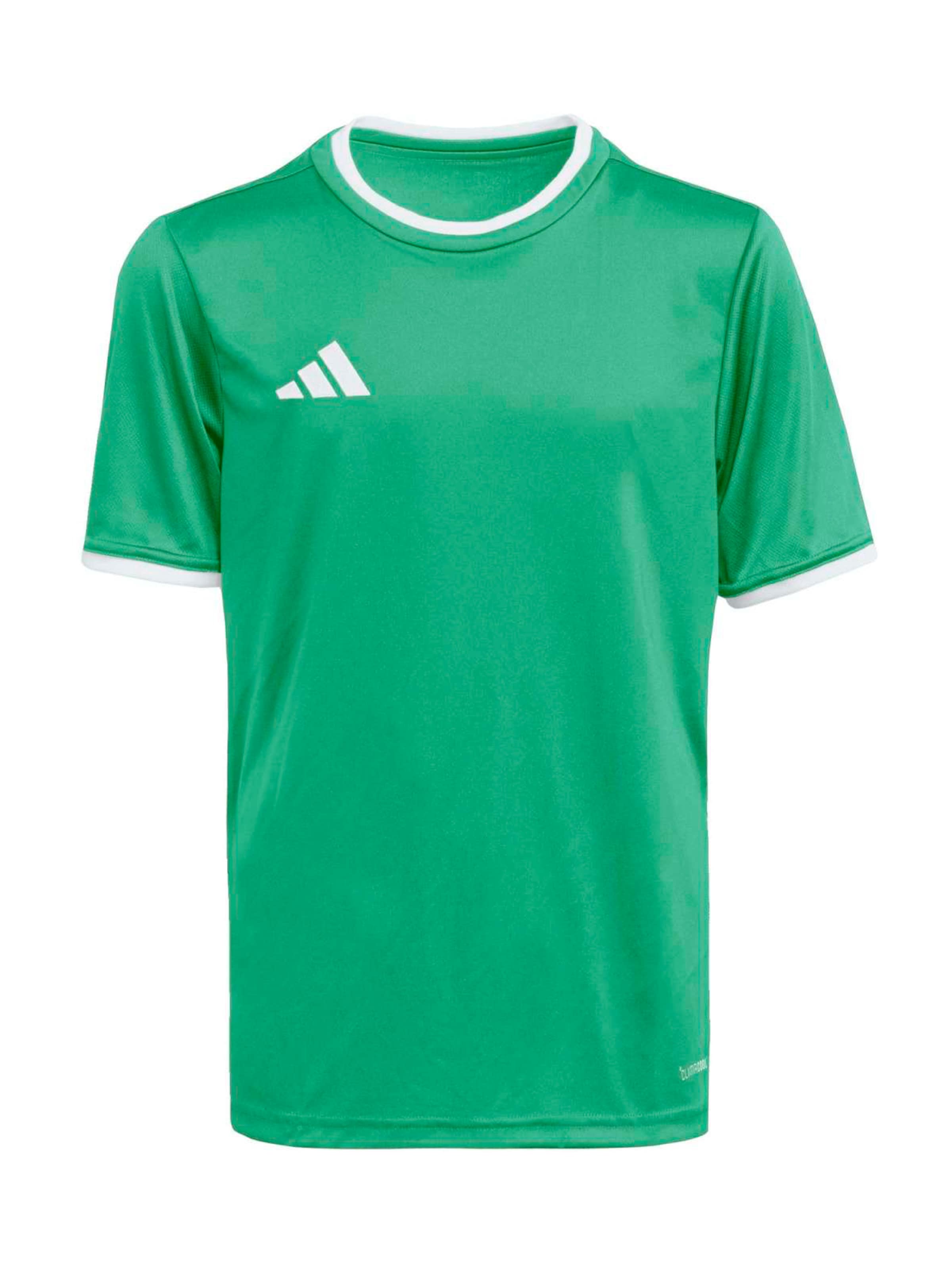 ADIDAS PERFORMANCE - Camiseta funcional 'ENT26' en verde: frente