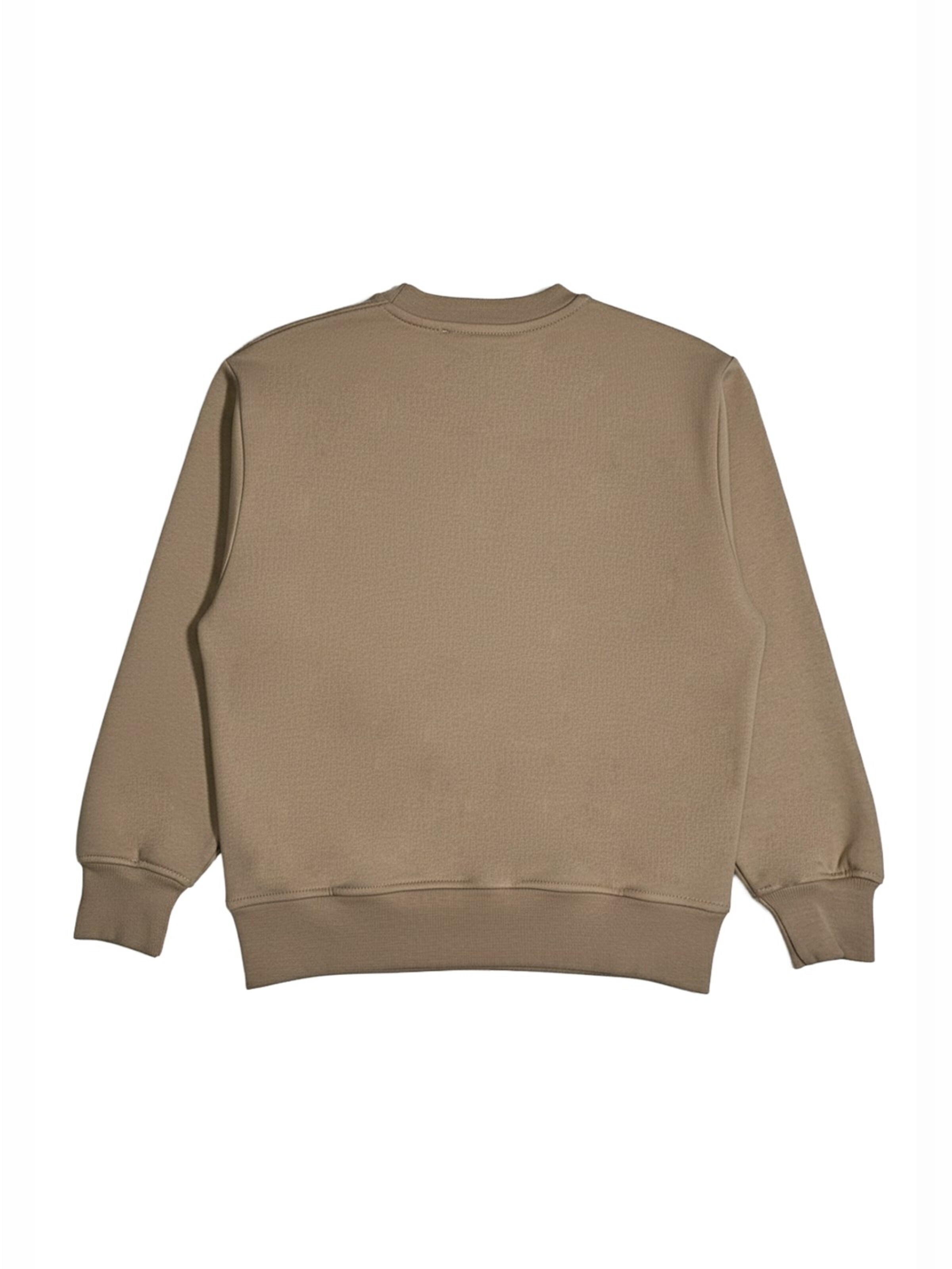 Felpa 'Felpa girocollo marrone per bambino' di MSGM in marrone