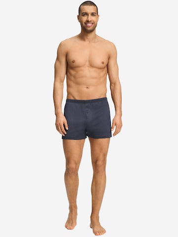 Hanro Boxershorts ' Cotton Sporty ' in Blauw
