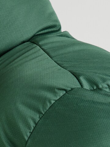 Nike Sportswear Zimska jakna 'Club' | zelena barva
