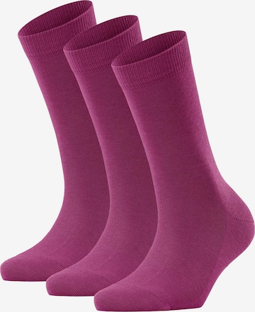 Chaussettes FALKE en violet : devant