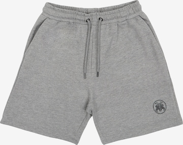 Oldskull Regular Broek in Grijs: voorkant