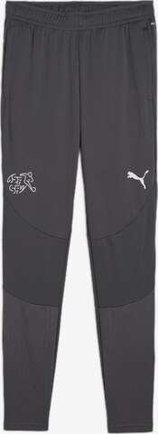 PUMA Regular Sporthose in Grau: predná strana