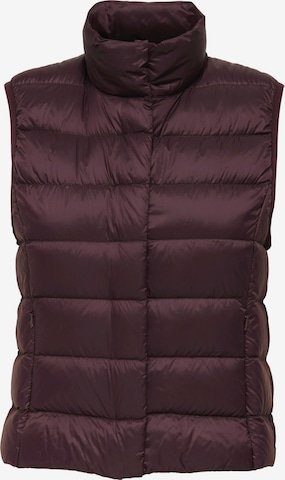 ONLY Liivi 'ONLRUBY' värissä ruskea: etupuoli