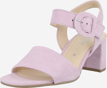 GABOR Sandals in Purple: front