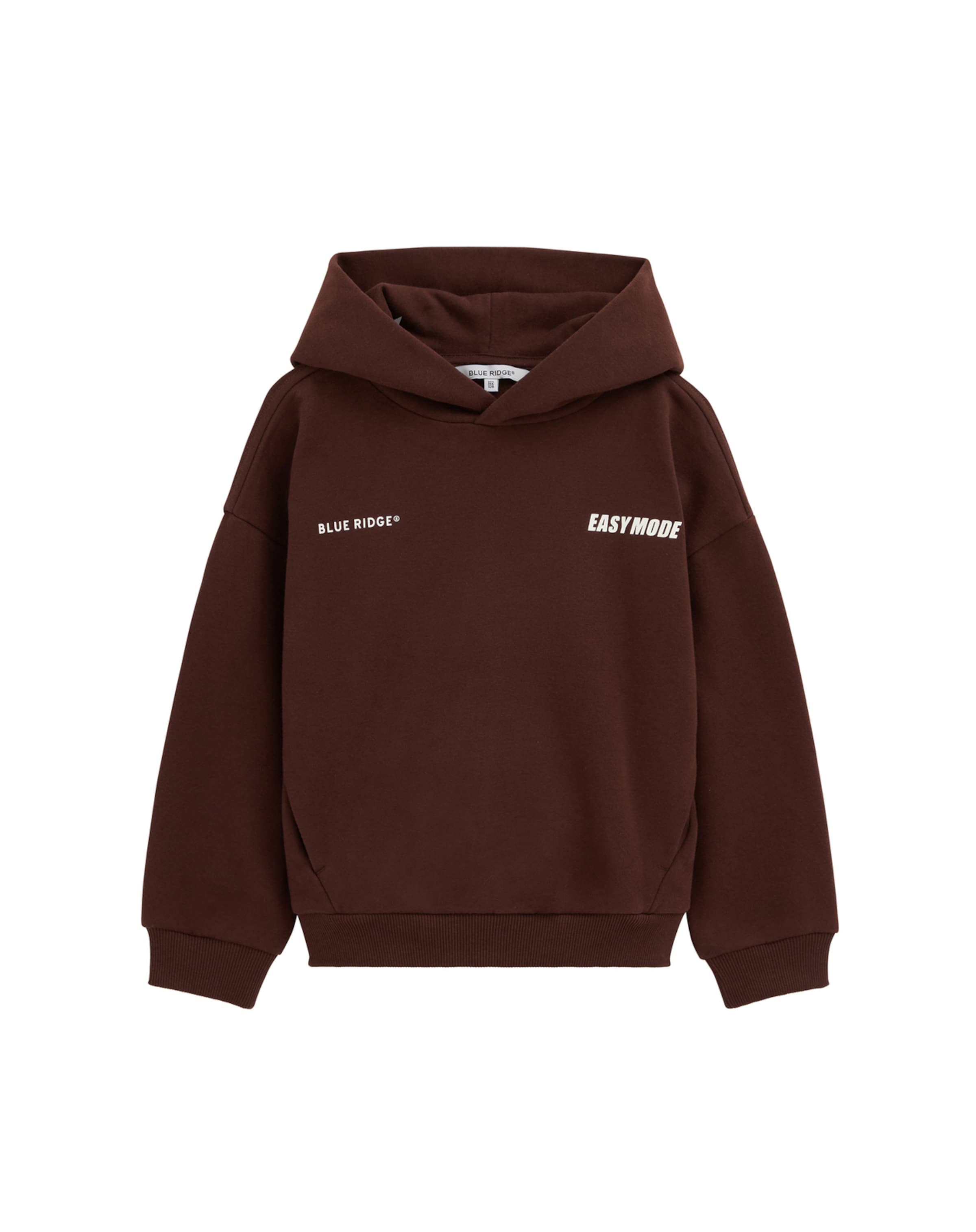 WE Fashion Sweatshirt in Brown: front