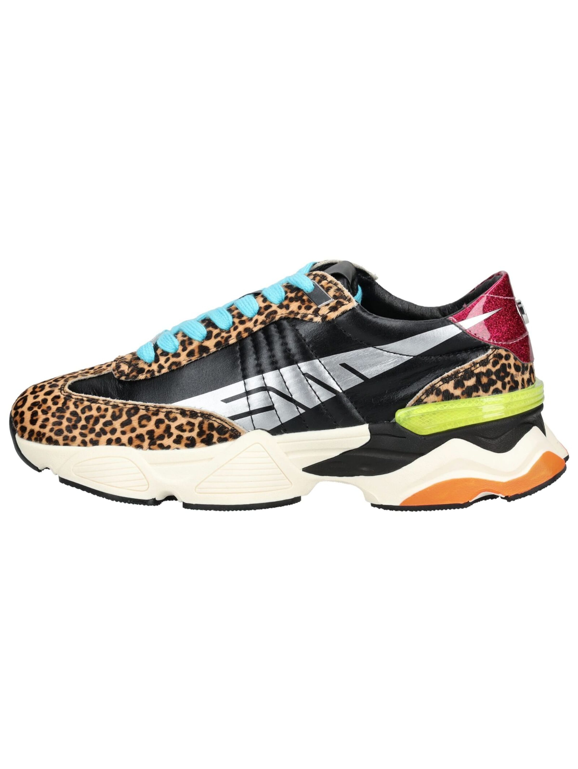 Baskets basses STEVE MADDEN en mélange de couleurs