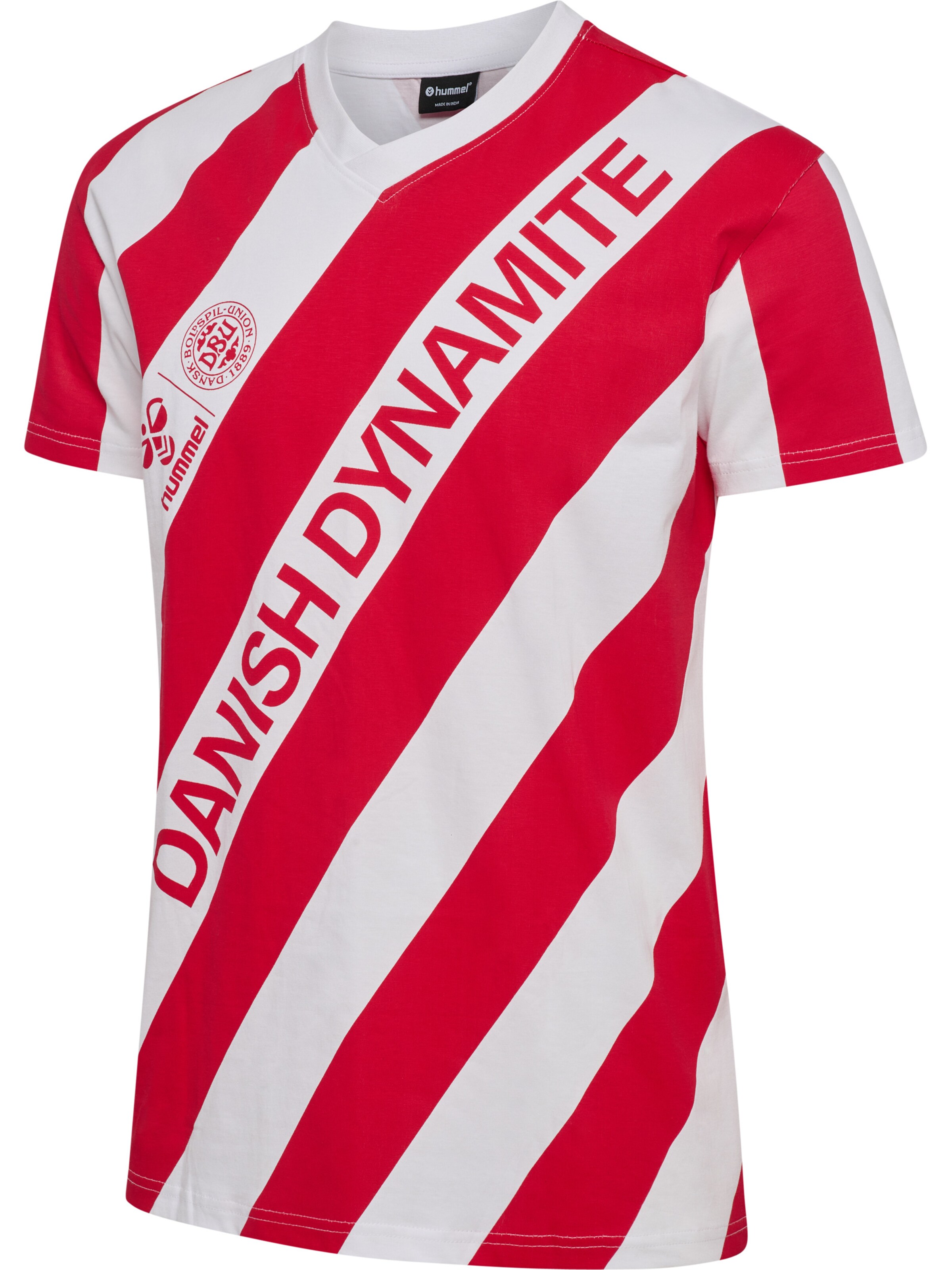 Hummel Functioneel shirt 'DBU 26 Fan Dynamite' in Wit