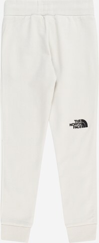 THE NORTH FACE Tapered Workout Pants 'DREW PEAK' in Grey