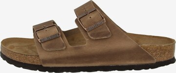 Saboți 'Arizona' de la BIRKENSTOCK pe maro