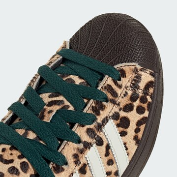 Sneaker bassa 'Superstar II' di ADIDAS ORIGINALS in marrone