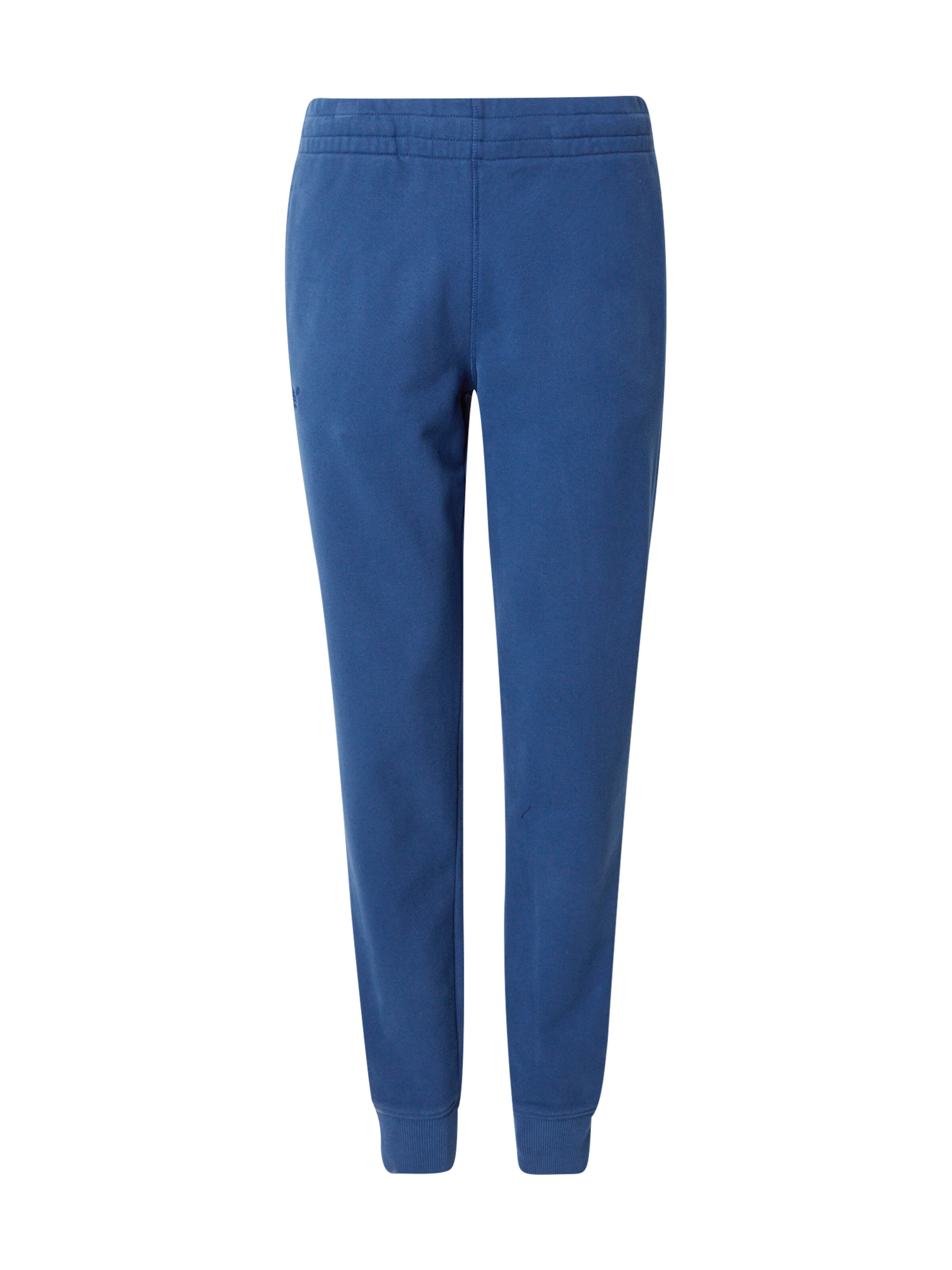 Superdry Trousers 'Essential' in Blue: front