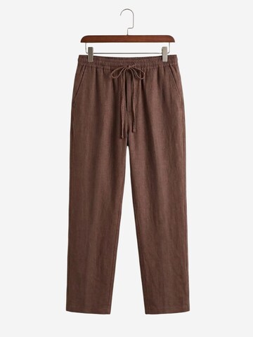 Loosefit Pantalon 'Hose' Bigdart en marron : devant