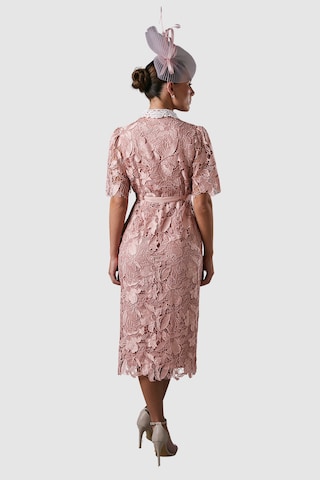 Coast Kleid in Pink: Rückseite