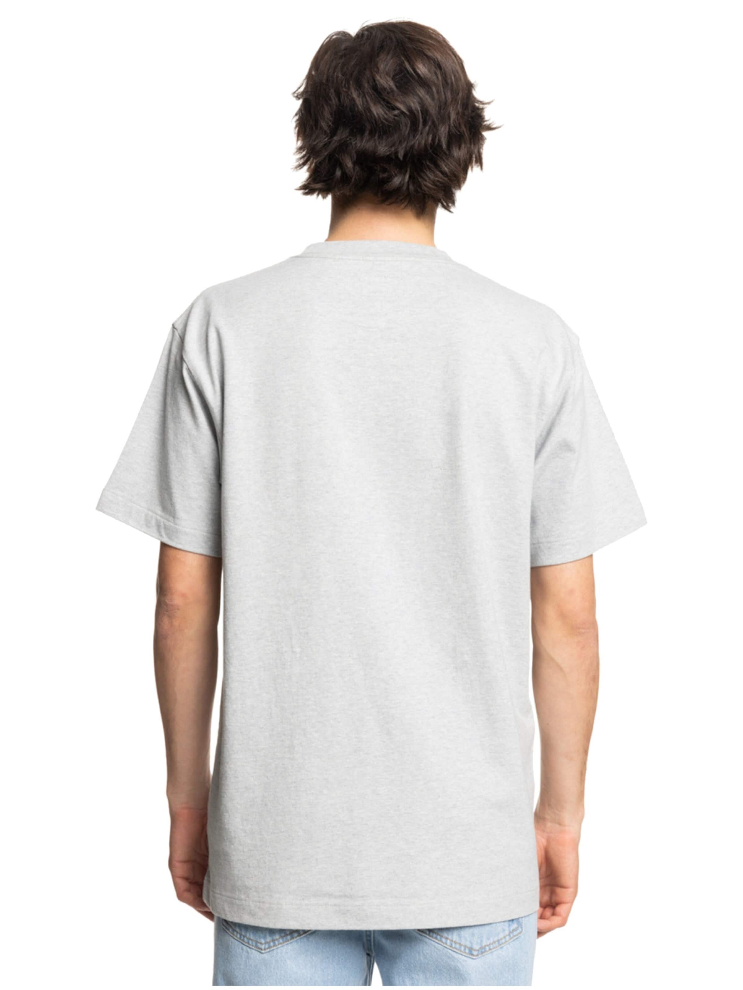 DC Shoes Shirt 'DC 1994 SS Tee' in Grijs