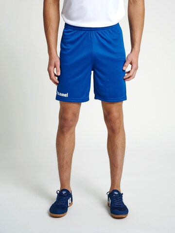 Hummel Regular Shorts in Blau: Vorderseite