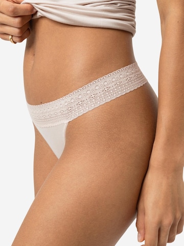 Mey String 'Modal Lace'‌‌‌‌‌‌ in Beige