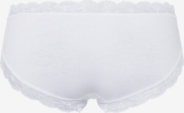 Hanro Broekje ' Cotton Lace ' in Wit