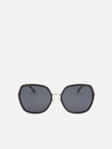 Polaroid Sunglasses 'Polaroid' in Grey: front