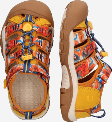 oranžinė KEEN Sandalai 'Newport H2'