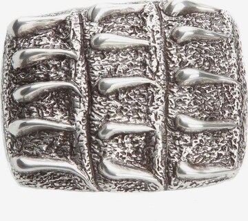 Cassandra Belt 'Claw' in Silver: front