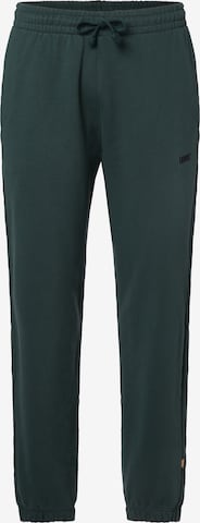 LEVI'S ® Tapered Trousers 'Authentic Sweatpants' in Green: front